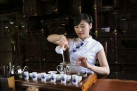 藏茶和安化黑茶的区别是什么